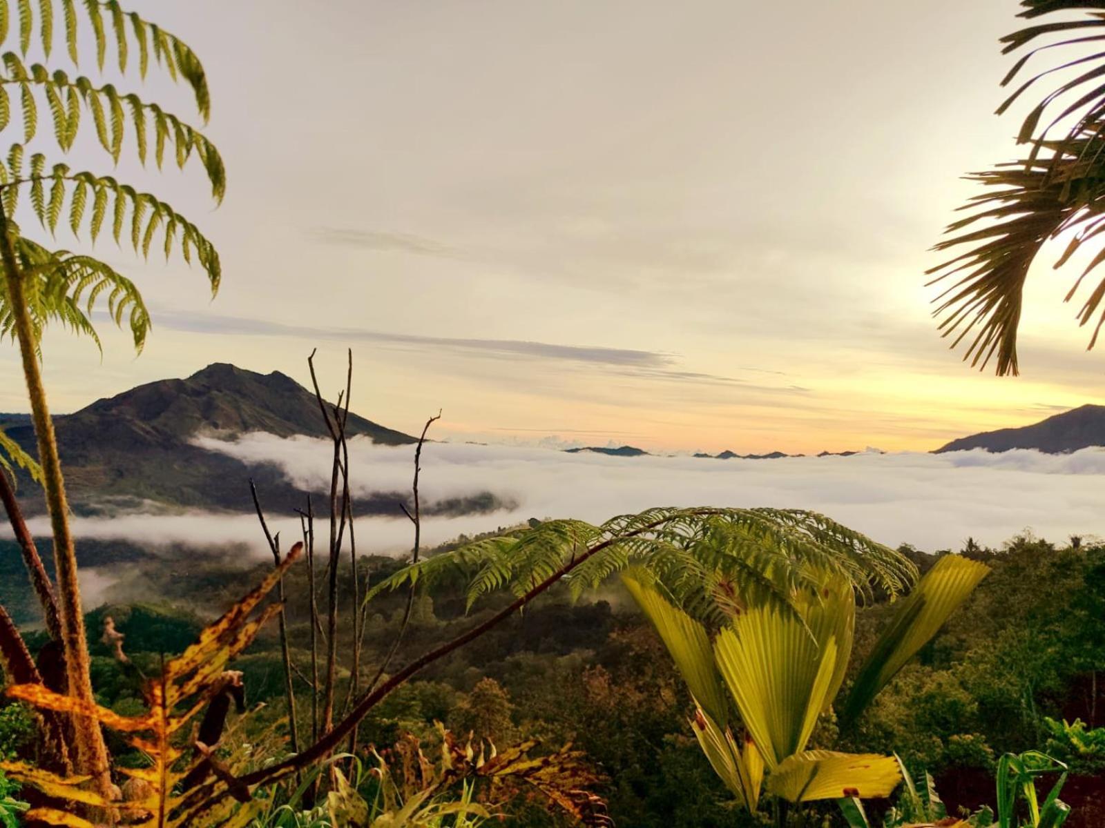 Batur View Homestay - Loft Kintamani Exterior foto