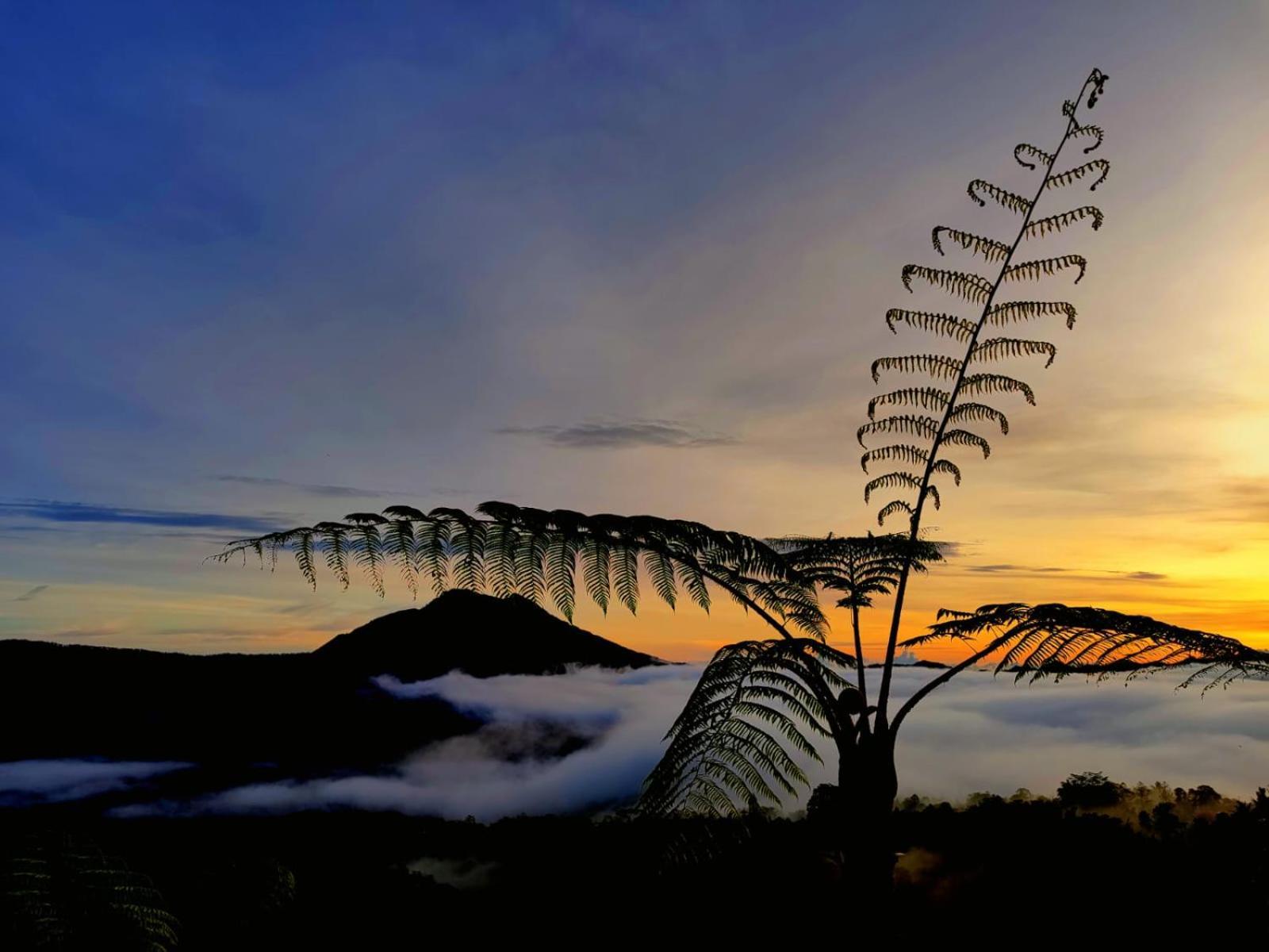 Batur View Homestay - Loft Kintamani Exterior foto